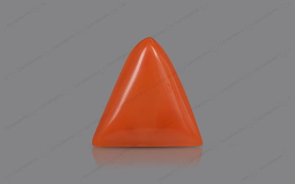 Red Coral - 5.44 Carats