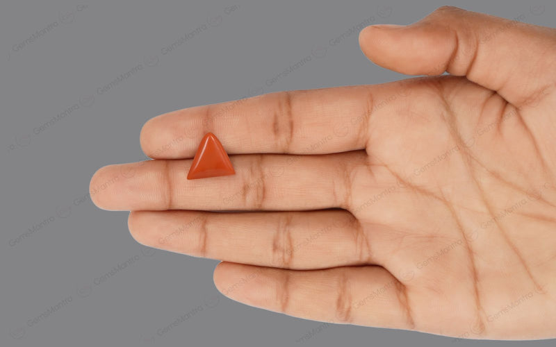 Red Coral - 5.44 Carats