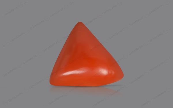 Red Coral - 5.05 Carats