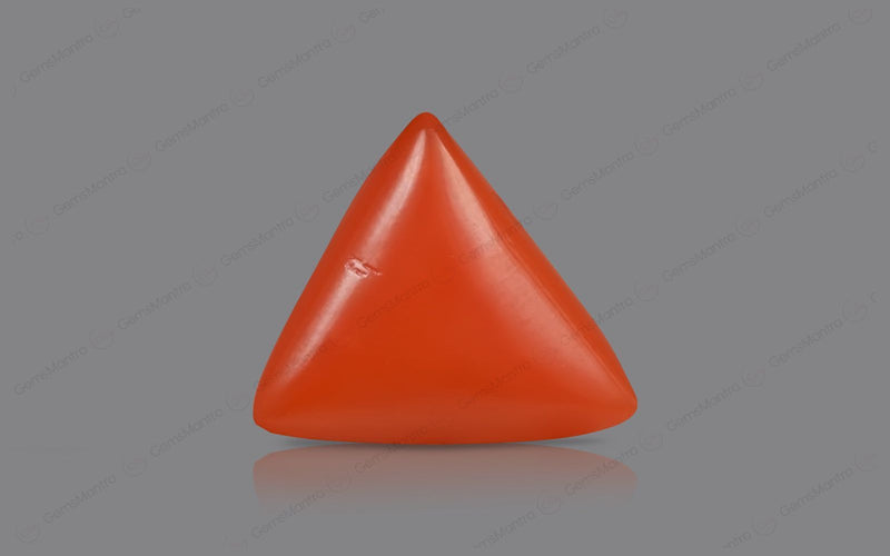 Red Coral - 5.05 Carats