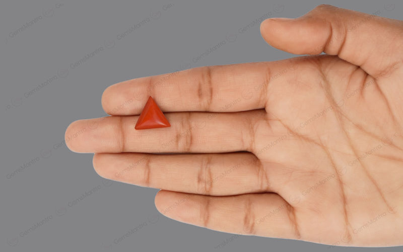 Red Coral - 5.04 Carats