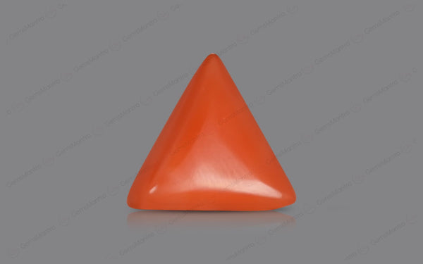 Red Coral - 5.28 Carats