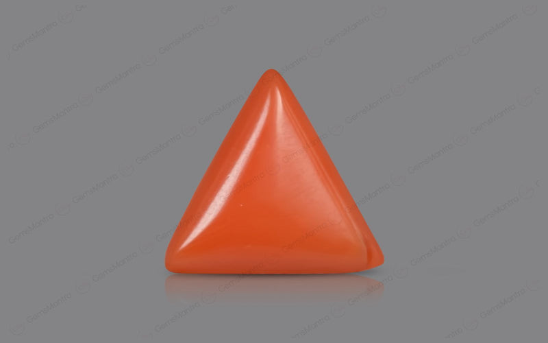 Red Coral - 5.28 Carats