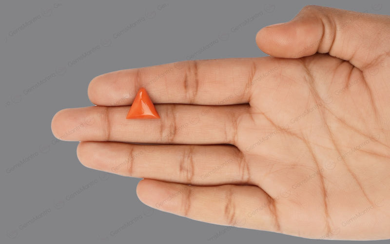 Red Coral - 5.28 Carats