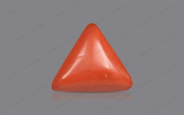 Red Coral - 5.29 Carats