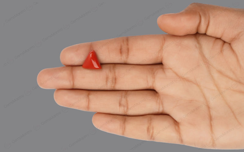 Red Coral - 5.4 Carats