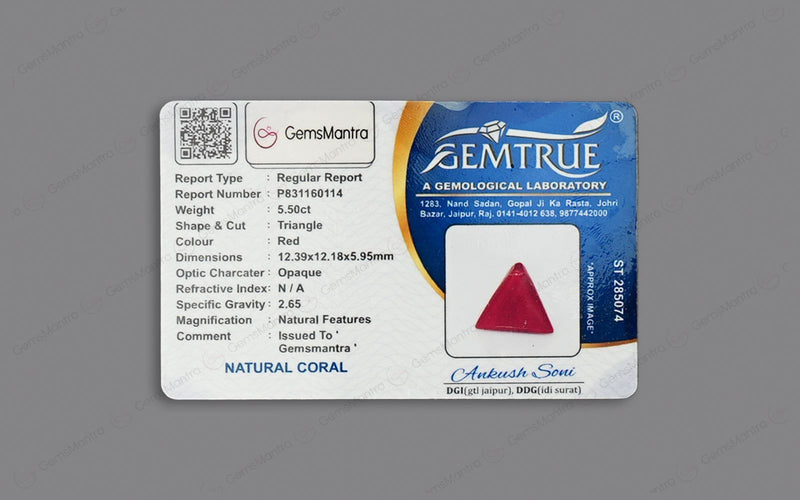 Red Coral - 5.5 Carats