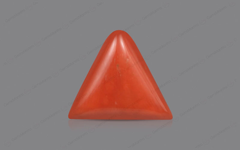 Red Coral - 5.5 Carats