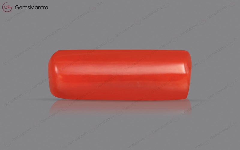 Red Coral - 3.6 Carats