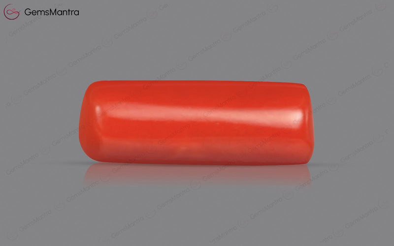 Red Coral - 3.6 Carats