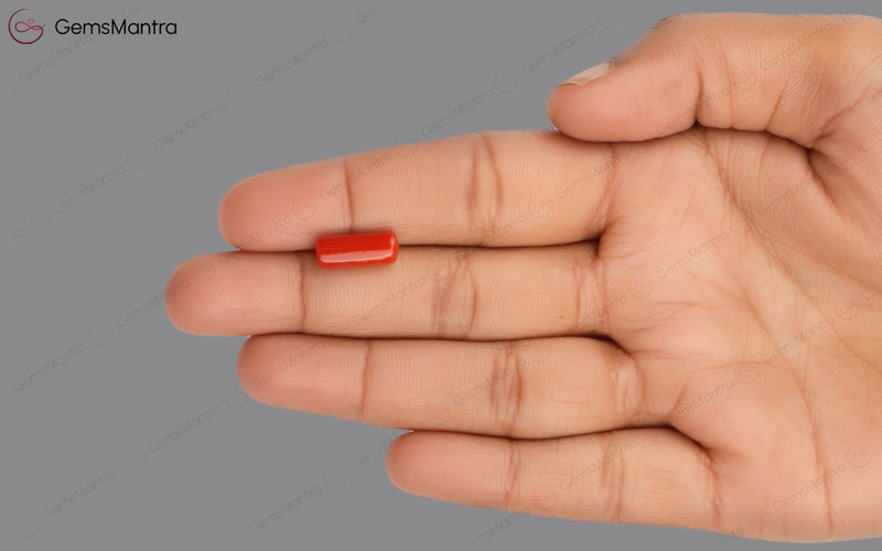 Red Coral - 3.6 Carats