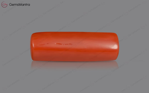 Red Coral - 3.56 Carats