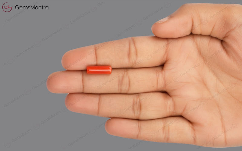 Red Coral - 3.56 Carats