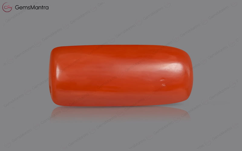 Red Coral - 3.59 Carats