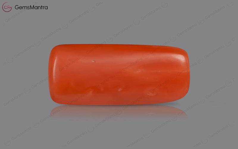 Red Coral - 3.59 Carats