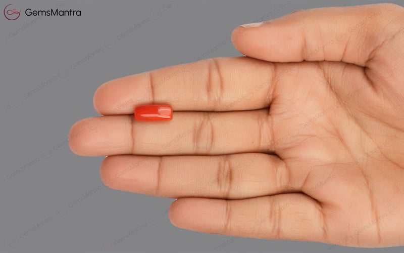 Red Coral - 3.59 Carats