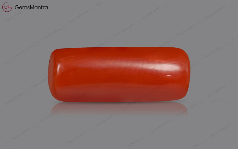 Red Coral - 3.44 Carats