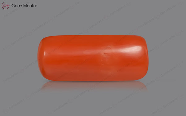 Red Coral - 3.55 Carats