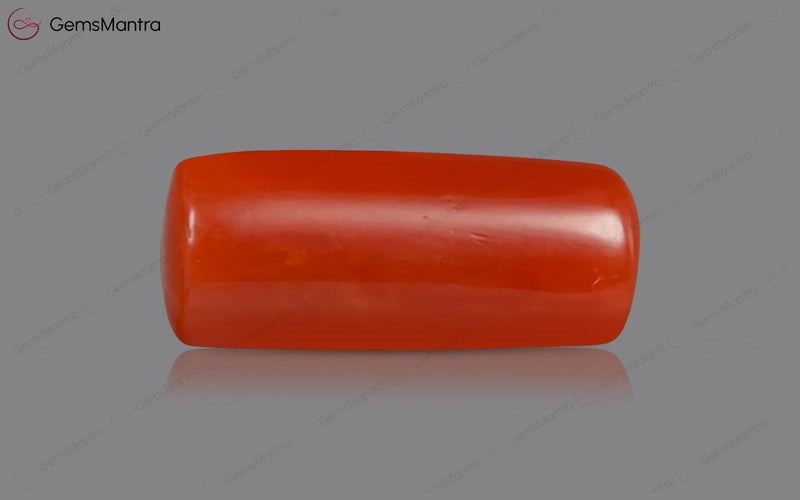 Red Coral - 3.5 Carats
