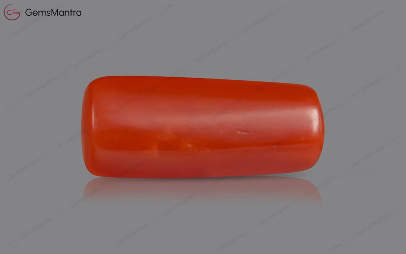 Red Coral - 3.5 Carats