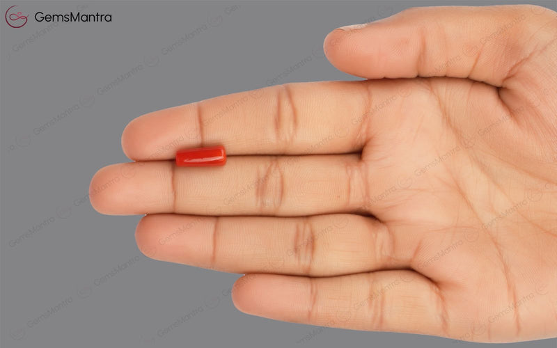 Red Coral - 3.5 Carats