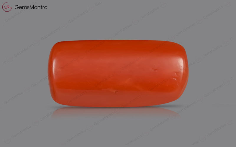Red Coral - 3.62 Carats