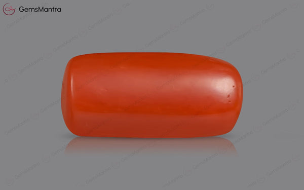 Red Coral - 3.62 Carats