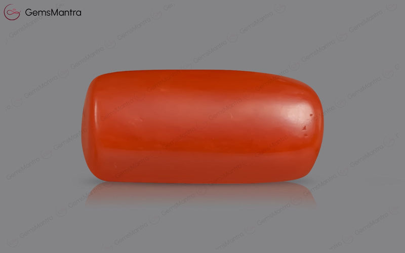 Red Coral - 3.62 Carats