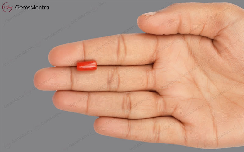 Red Coral - 3.62 Carats