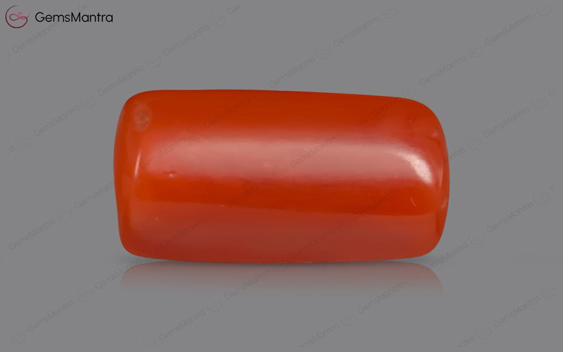 Red Coral - 3.46 Carats