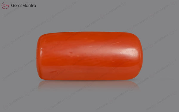 Red Coral - 3.59 Carats