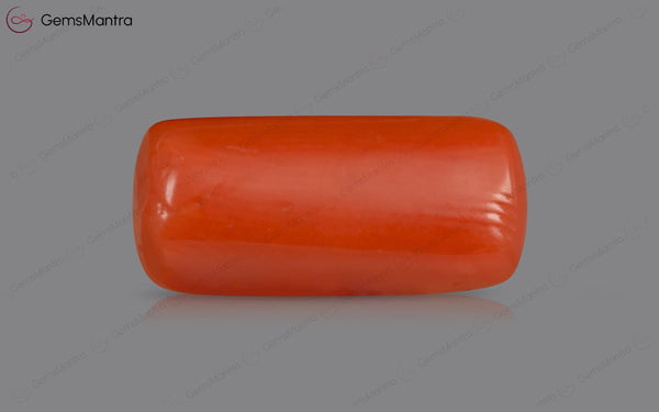 Red Coral - 3.59 Carats