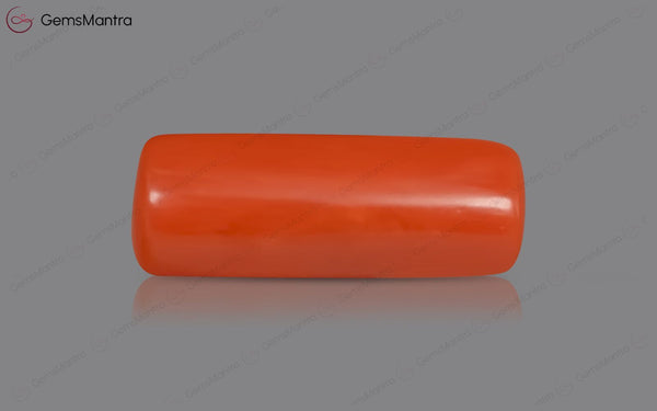 Red Coral - 3.47 Carats