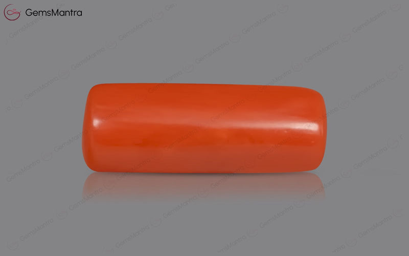 Red Coral - 3.47 Carats