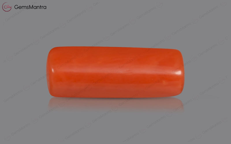 Red Coral - 3.47 Carats