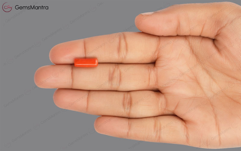 Red Coral - 3.47 Carats