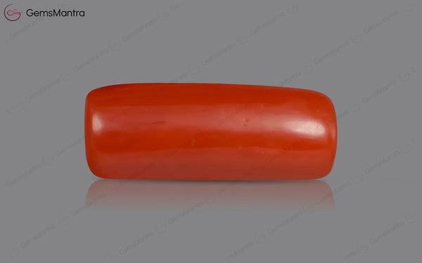 Red Coral - 3.58 Carats