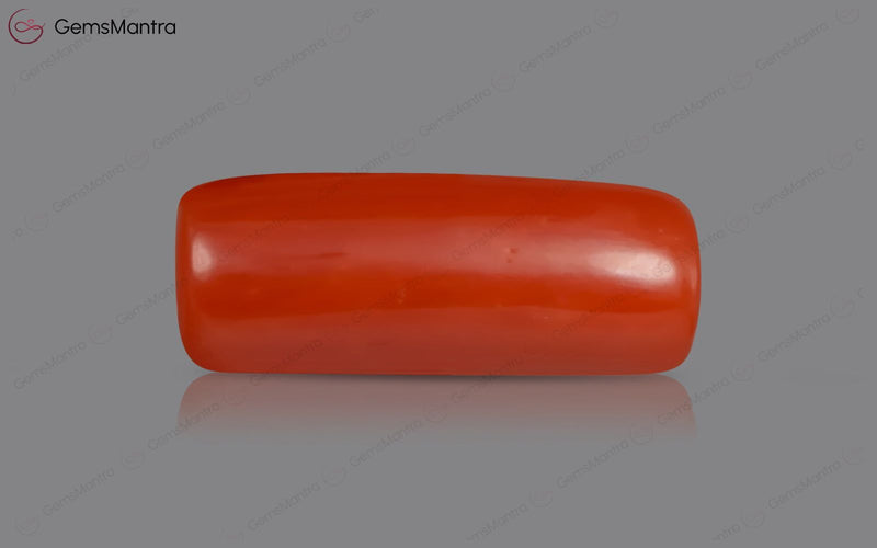 Red Coral - 3.58 Carats