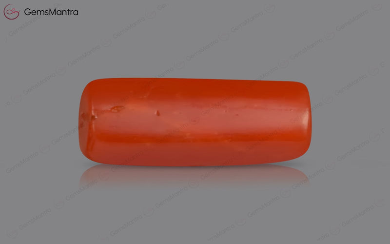 Red Coral - 3.58 Carats