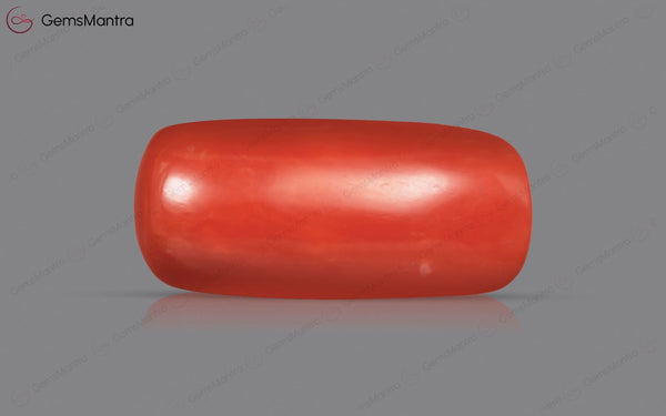 Red Coral - 3.5 Carats