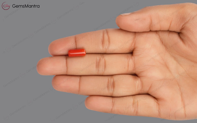 Red Coral - 3.5 Carats