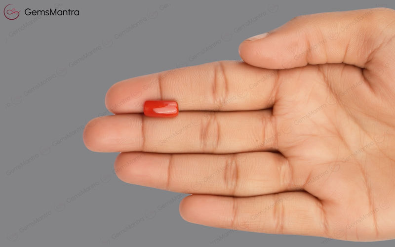 Red Coral - 3.38 Carats