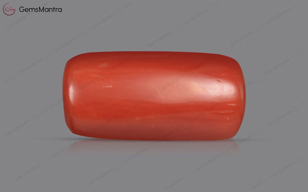 Red Coral - 3.51 Carats