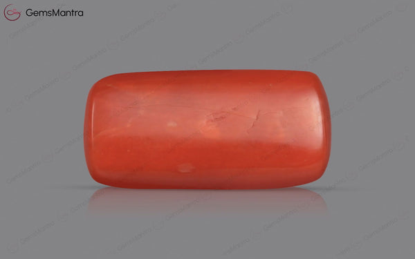 Red Coral - 3.51 Carats
