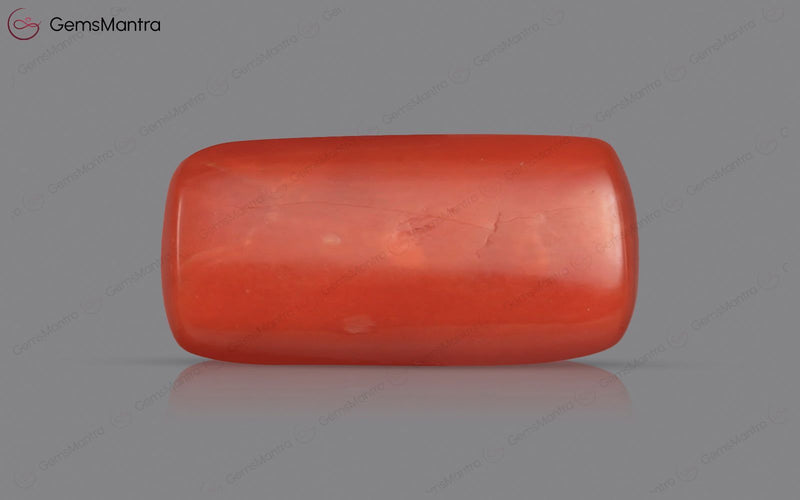 Red Coral - 3.51 Carats