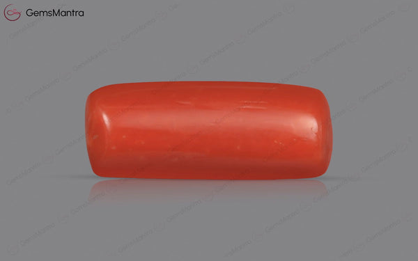 Red Coral - 3.73 Carats