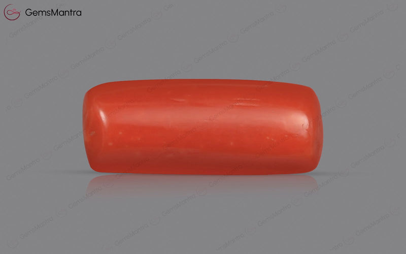 Red Coral - 3.73 Carats