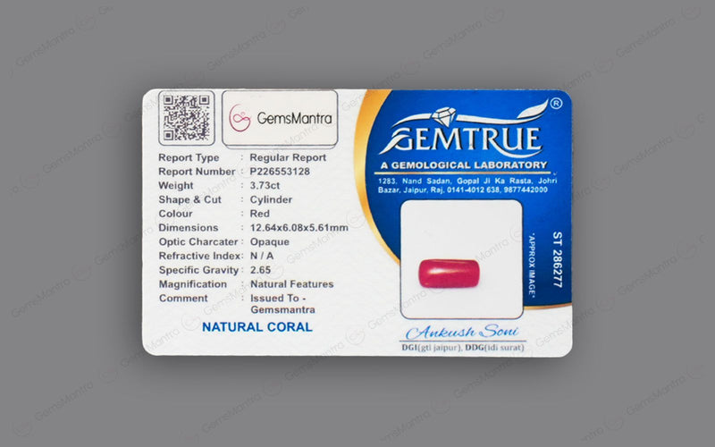Red Coral - 3.73 Carats