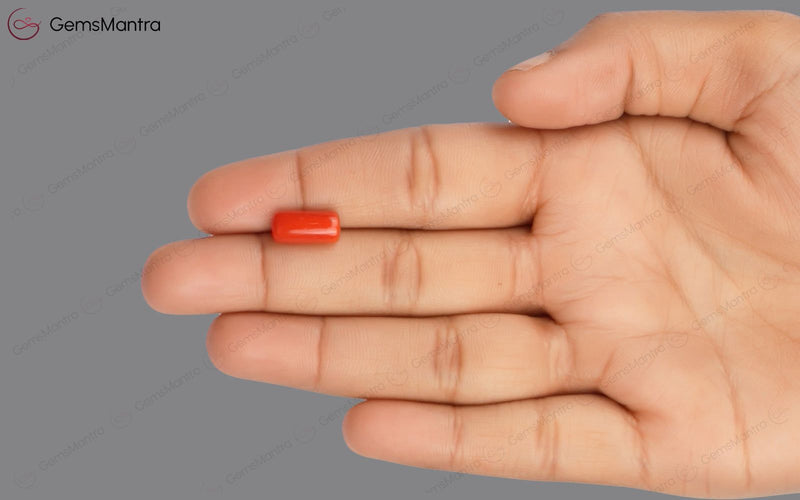 Red Coral - 3.73 Carats