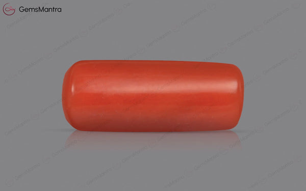 Red Coral - 3.87 Carats